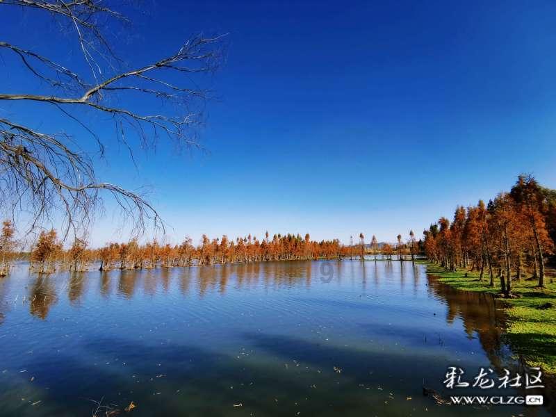 以撒的结合：胎衣